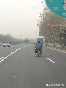 莫拿生命當(dāng)兒戲 行人非機(jī)動(dòng)車上高速公路，危險(xiǎn)至極
